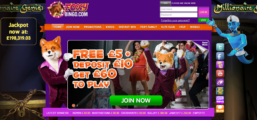 Foxy bingo online